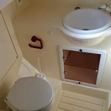 Tekne Iris - Api-1-46-11