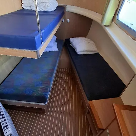 Iris - Api-1-46-11 Tekne *