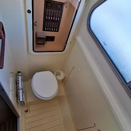 Tekne Iris - Api-1-46-11