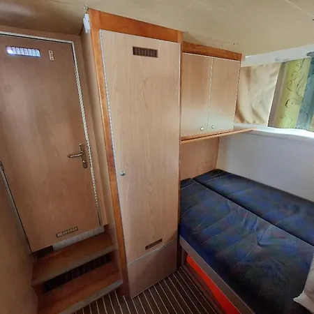 Iris - Api-1-46-11 *