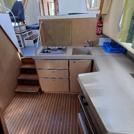 Iris - Api-1-46-11 * Chenillé-Changé